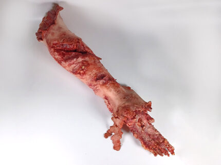 Abgetrennter Steve - Linkes Bein BACKGROUND