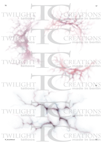 Big Vessels Veins 03