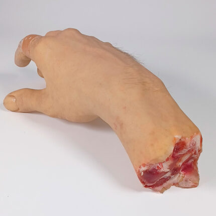Raymond - Rechte Hand BACKGROUND