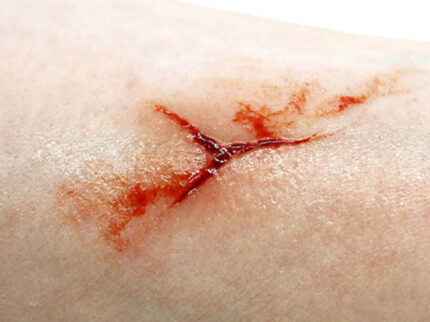 SC12 Kleiner Schnitt