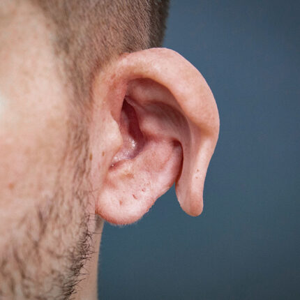 Creature Ears