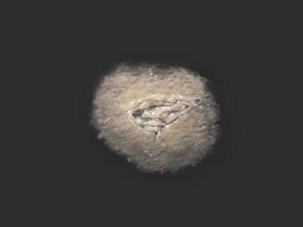 SC16 Kleiner Schnitt