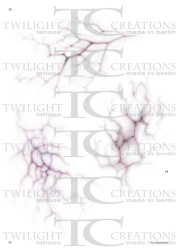 Big Vessels Veins 02