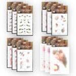 Bruises Complete ABC Set