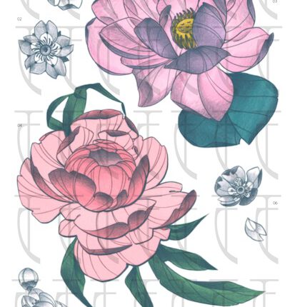Blossom
