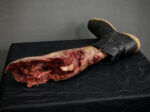 Severed Leg