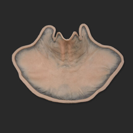 Old Age Prosthetics [Subtil] - Hals
