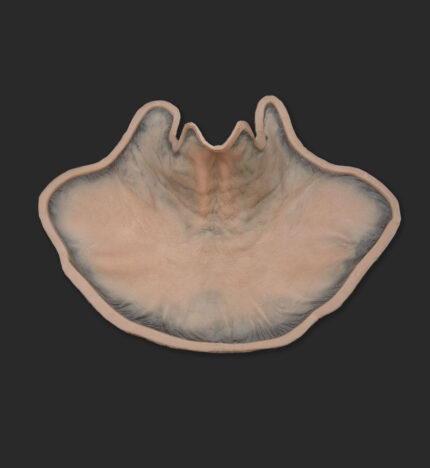 Old Age Prosthetics [Subtil] - Hals