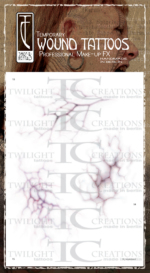 Big Vessels Veins 02