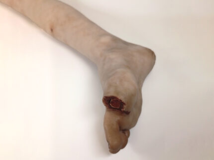 Roger - Rechtes Bein mit Knie BACKGROUND