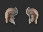 Creature Ears
