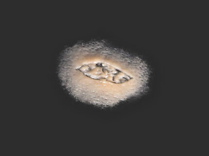 SC18 Kleiner Schnitt