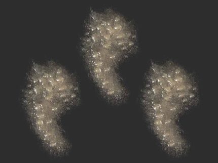 SD14 Kleine Pusteln (3er Set)