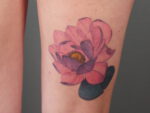 Blossom