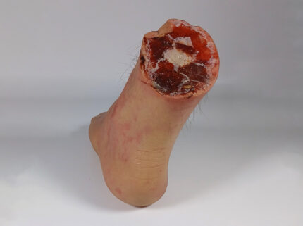 Larry - Linker Fuß BACKGROUND