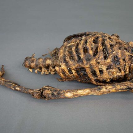 Corpse #2